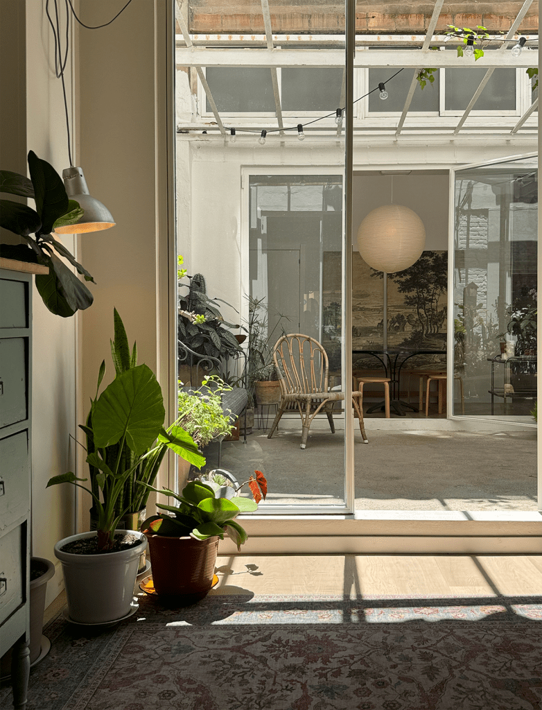 Estudio Nogales Interiores Calle Buenos Aires