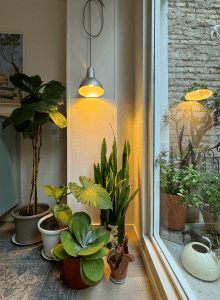 Estudio Nogales Interiores Calle Buenos Aires